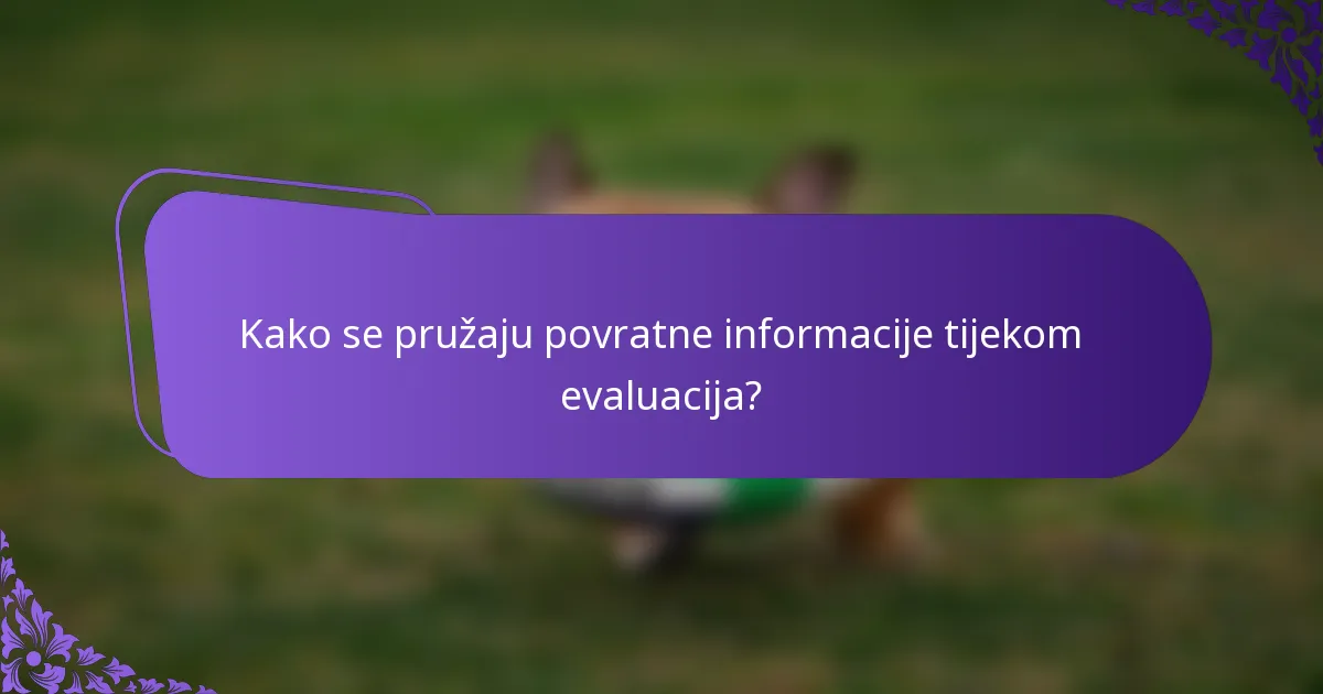 Kako se pružaju povratne informacije tijekom evaluacija?